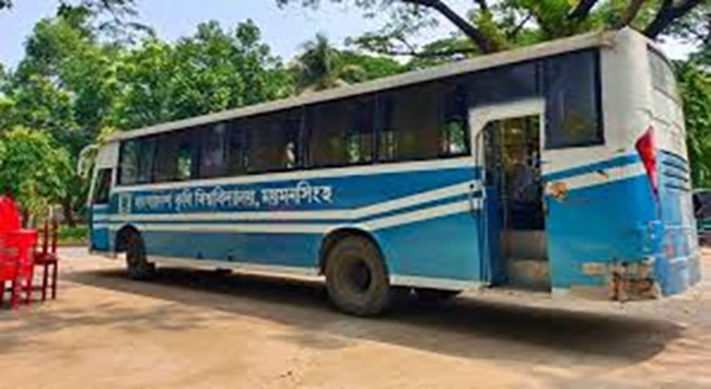 বাকৃবিতে ৬ হাজার শিক্ষার্থীর যাতায়াতে মাত্র ৫ বাস, দুর্ভোগ চরমে