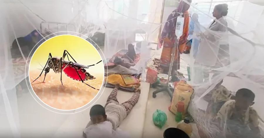 হাম-ডেঙ্গুর ভয়াল থাবা, একদিনে ঝরল ১৪ প্রাণ!