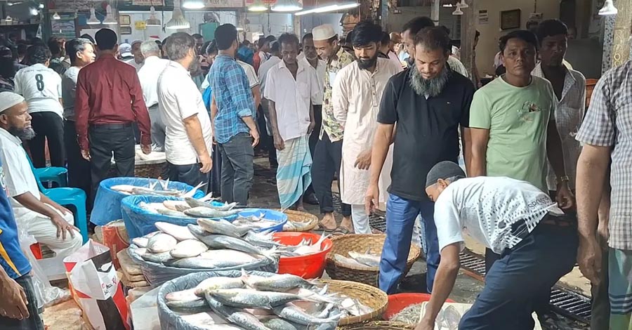 ২২ দিনের নিষেধাজ্ঞা, তার আগেই আকাশছোঁয়া ইলিশের দাম