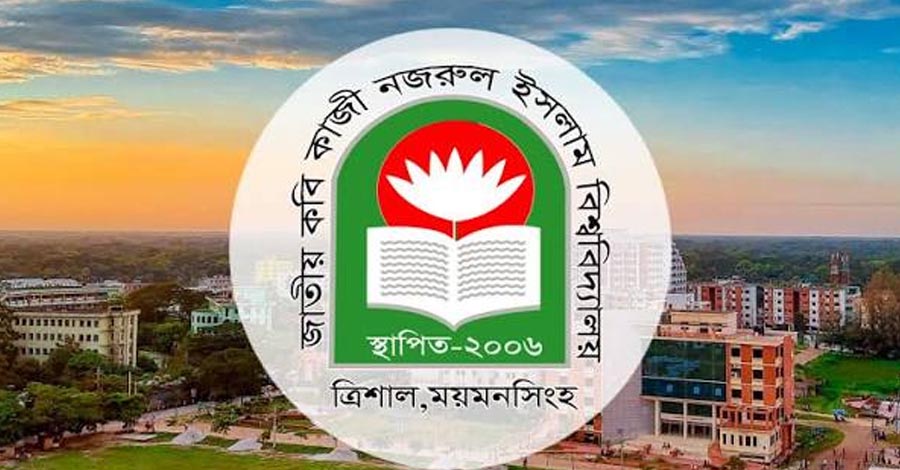 নজরুল বিশ্ববিদ্যালয়ে ক্রিকেট টুর্নামেন্ট ঘিরে রণক্ষেত্র, আহত ৬