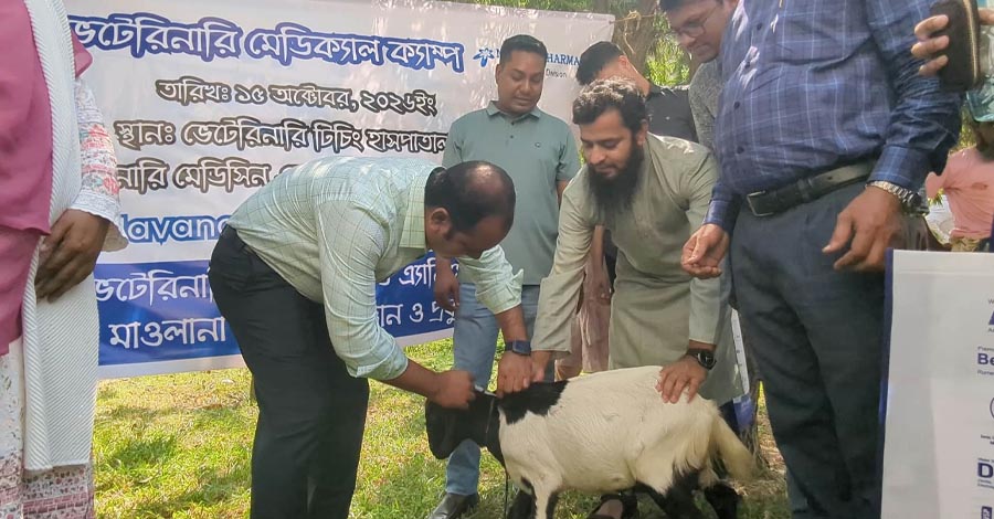 মাভাবিপ্রবির বিনামূল্যের চিকিৎসা ক্যাম্পে সেবা পেল ৩০০ পশু