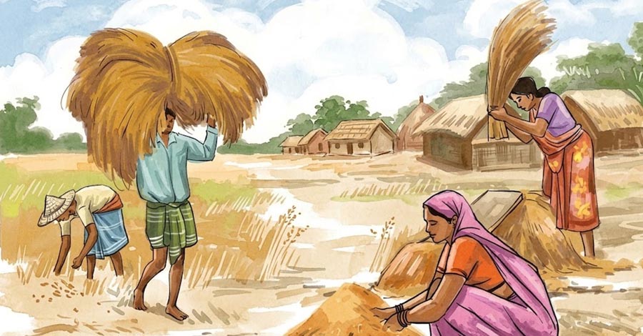 সোনালি ধানের ঢেউ, শিশিরভেজা সকাল—বাংলায় এলো হেমন্ত