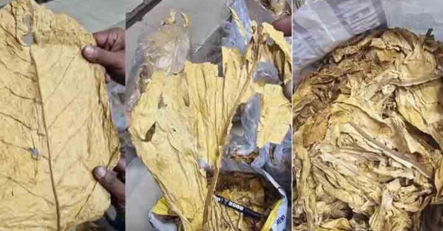 ৪৯৪ কোটি টাকার সিগারেট তৈরির তামাক জব্দ, আমদানি মূল্যে বড় গরমিল